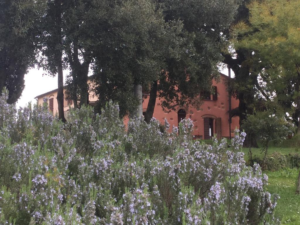 Agriturismo Colle Donatucci Guest House Castagneto Carducci Luaran gambar